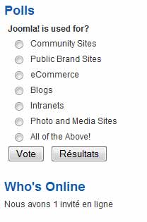 Un module de réalisation de sondages et un autre affichant le nombre de visiteurs sur le site - Joomla Guide complet